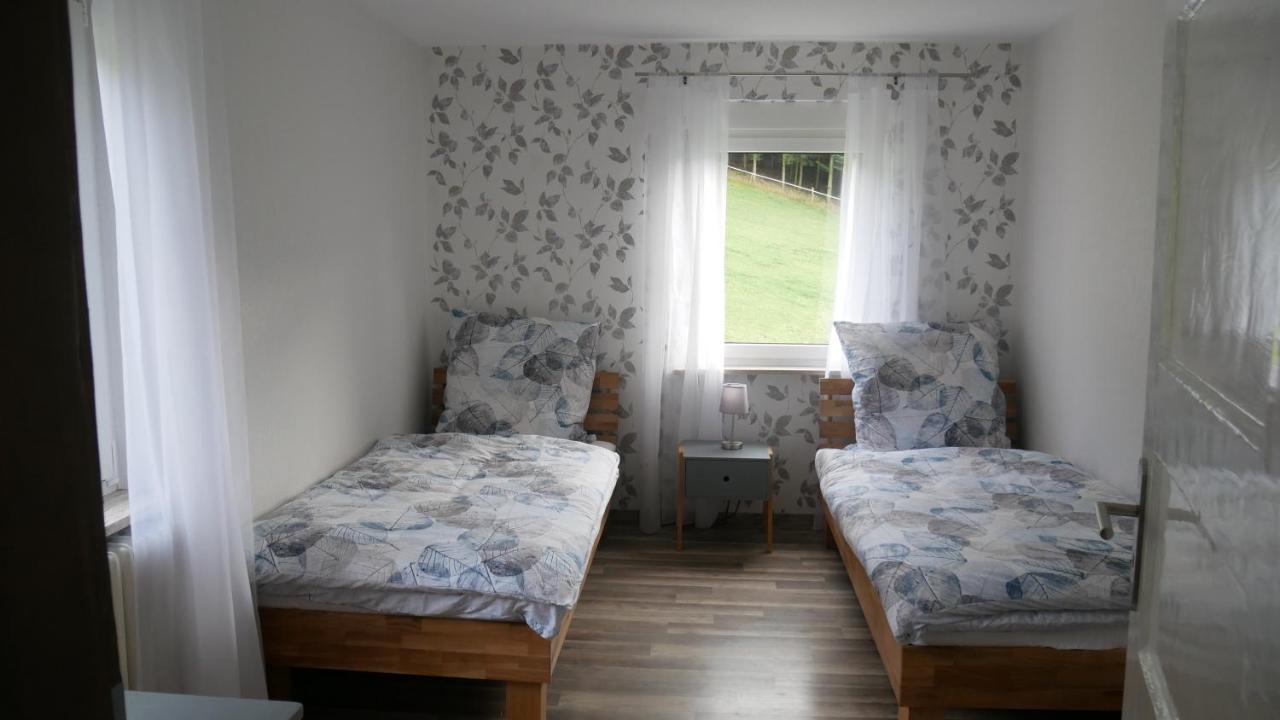 Modernisierte Ferienwohnung Im Schoenen Sauerland Мешеде Экстерьер фото