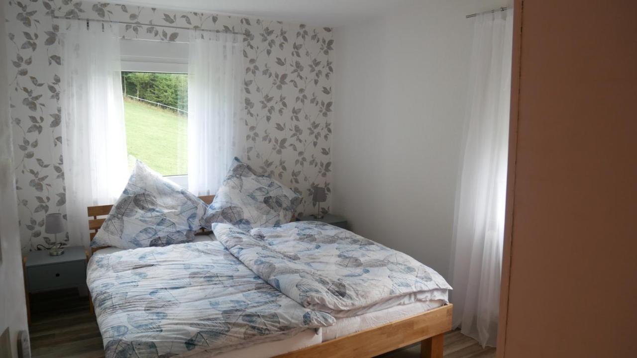 Modernisierte Ferienwohnung Im Schoenen Sauerland Мешеде Экстерьер фото