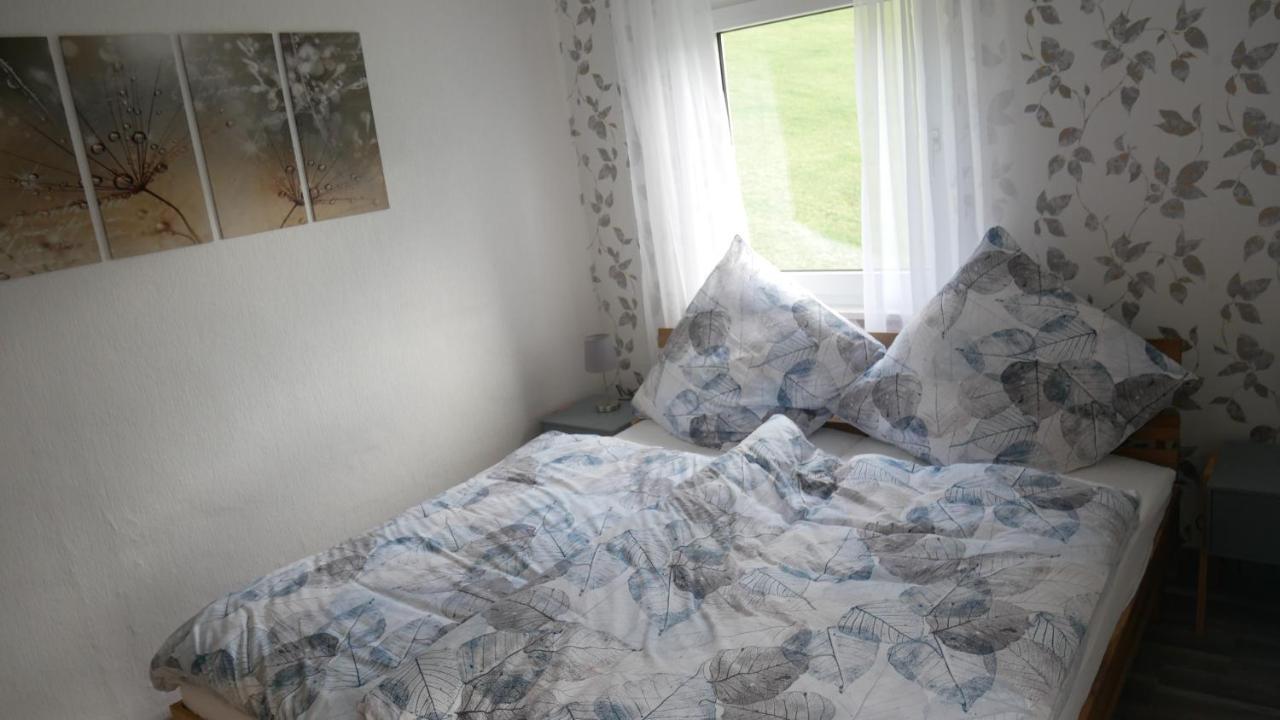 Modernisierte Ferienwohnung Im Schoenen Sauerland Мешеде Экстерьер фото