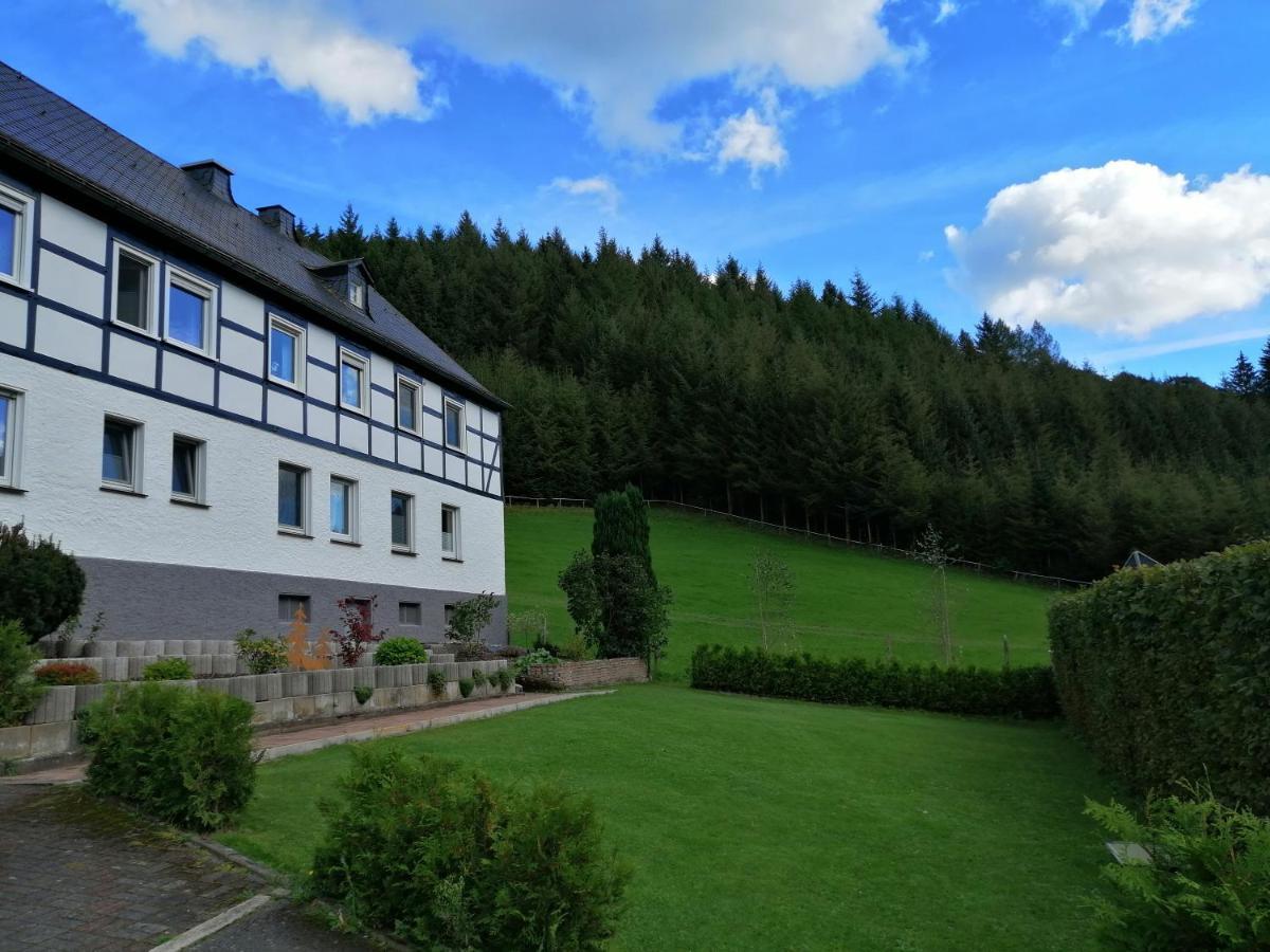Modernisierte Ferienwohnung Im Schoenen Sauerland Мешеде Экстерьер фото
